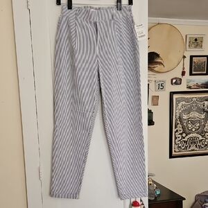 NWT Seersucker Blue Pants